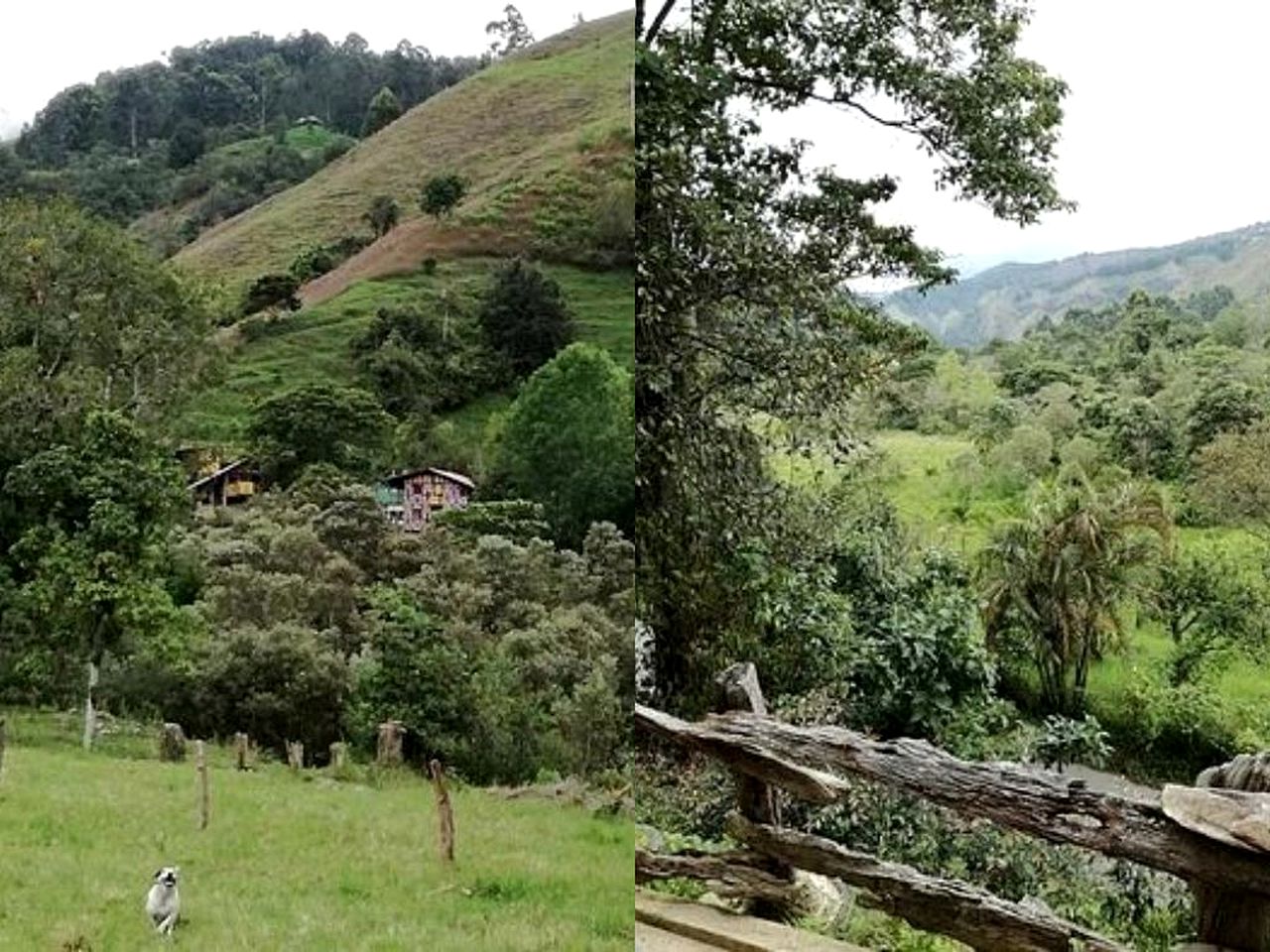 Unique Getaway near Coffee Plantations in the Cocora Valley, Colombia