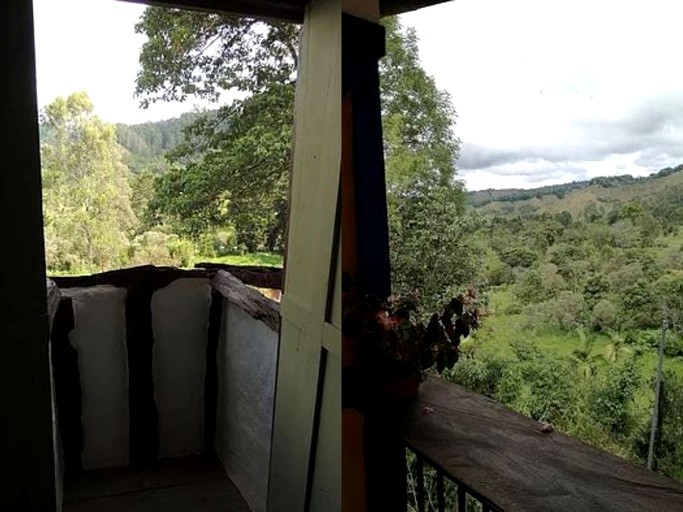 Cabins (Salento, Quindío, Colombia)