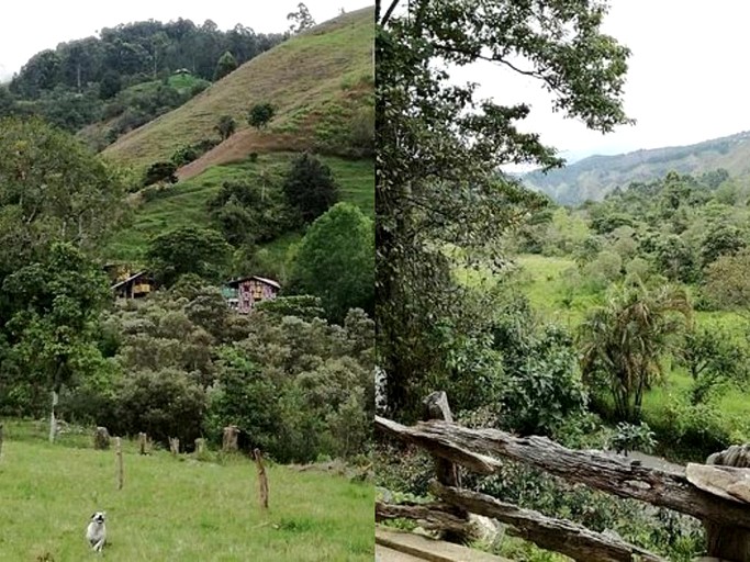 Cabins (Salento, Quindío, Colombia)