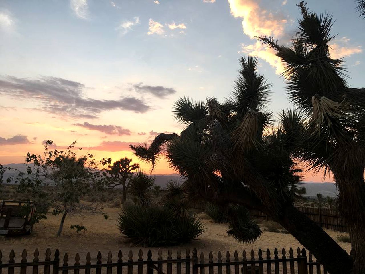 Rustic Cabin Rental Surrounded by the Mojave Desert in Yucca Valley, California