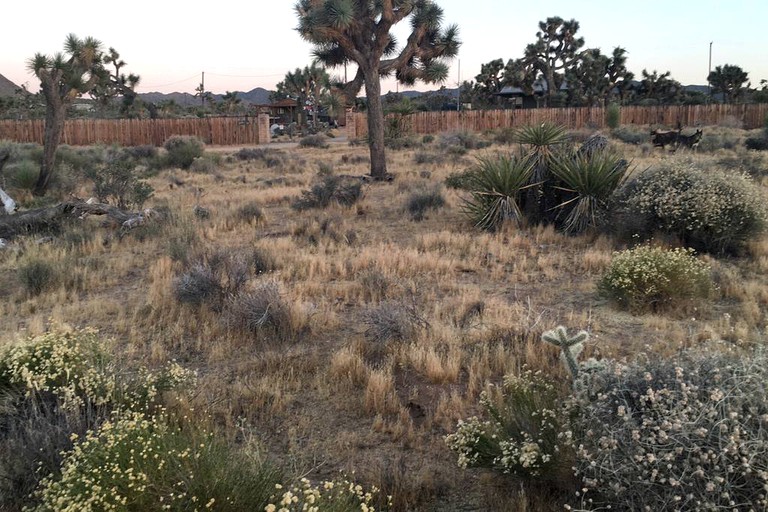 Cabins (Yucca Valley, California, United States)