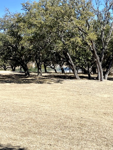 Cabins (United States of America, Hunt, Texas)