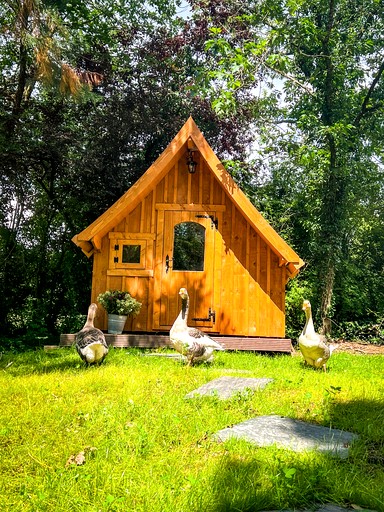 Sweet Tiny Cabin Perfect for a Peaceful Nature Escape in Germany