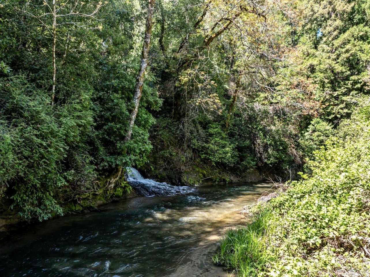 Stunning Riveside Cottage in the Santa Cruz Mountains for a Peaceful Escape in Nature in Boulder Creek, California