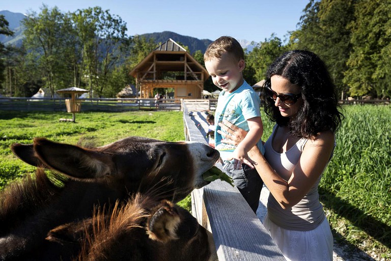 Cabins (Stahovica, Central Slovenia, Slovenia)