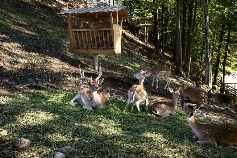 Cabins (Stahovica, Central Slovenia, Slovenia)