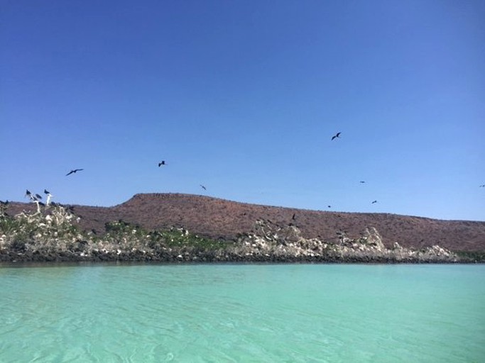 Boats & Floating Homes (La Paz, Baja California, Mexico)