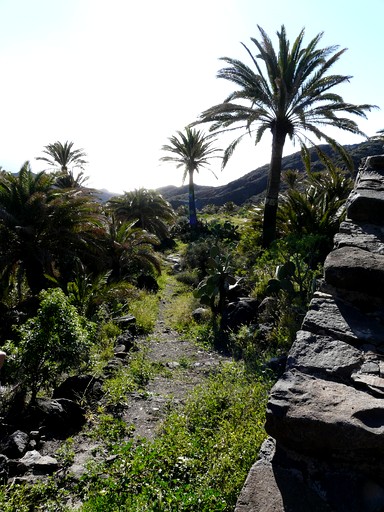 Vacation Rentals (Spain, Acalá, Tenerife)