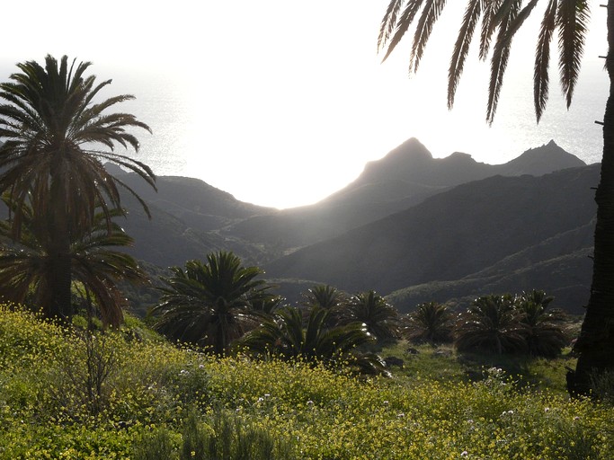 Vacation Rentals (Spain, Acalá, Tenerife)