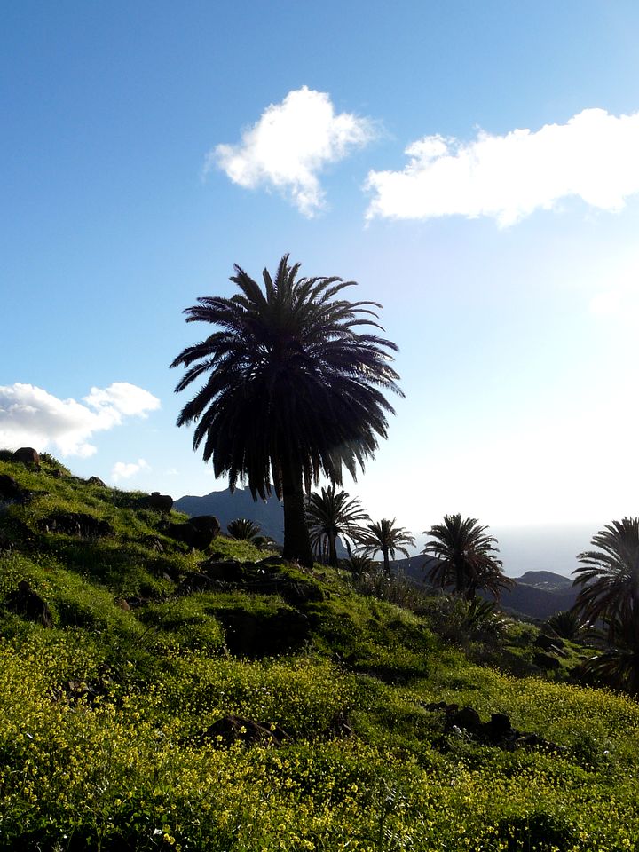 Charming Historic House with Sea & Mountain Views near Valle Gran Rey, La Gomera