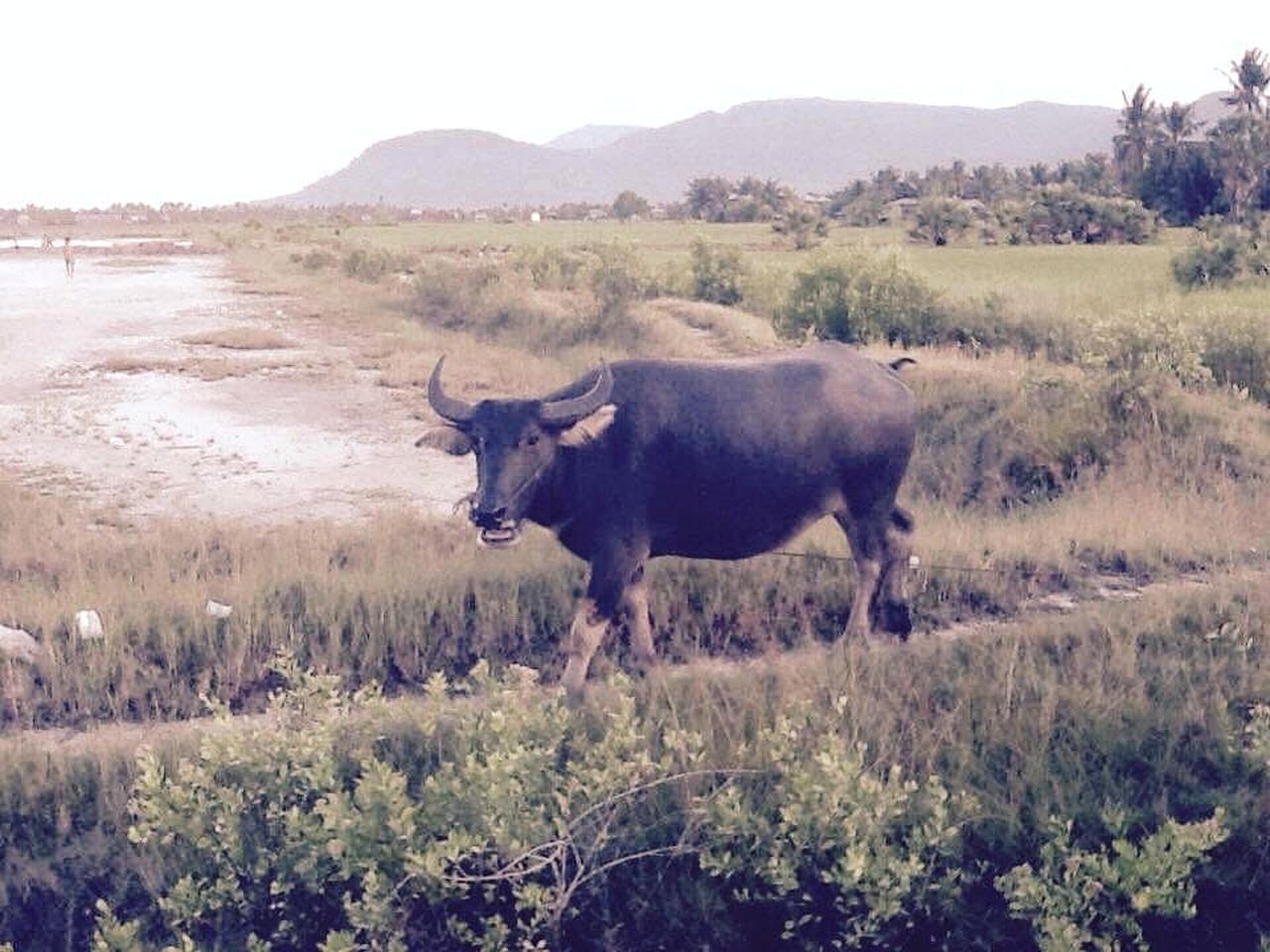 Riverside Retreat for a Glamping Getaway in Kampot, Southern Cambodia