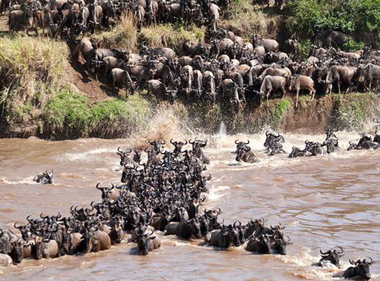 Romantic Safari Tent Rental near Nairobi National Park in Kenya