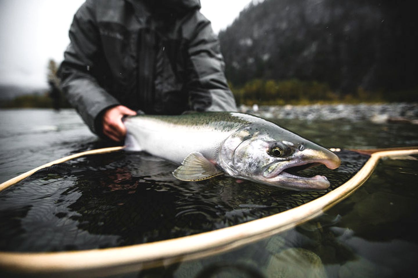 Cozy Room Rentals at Cedar Lodge for Guided Fishing Trip in Vancouver, British Columbia