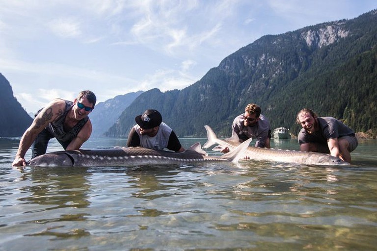 Nature Lodges (Pitt Meadows, British Columbia, Canada)