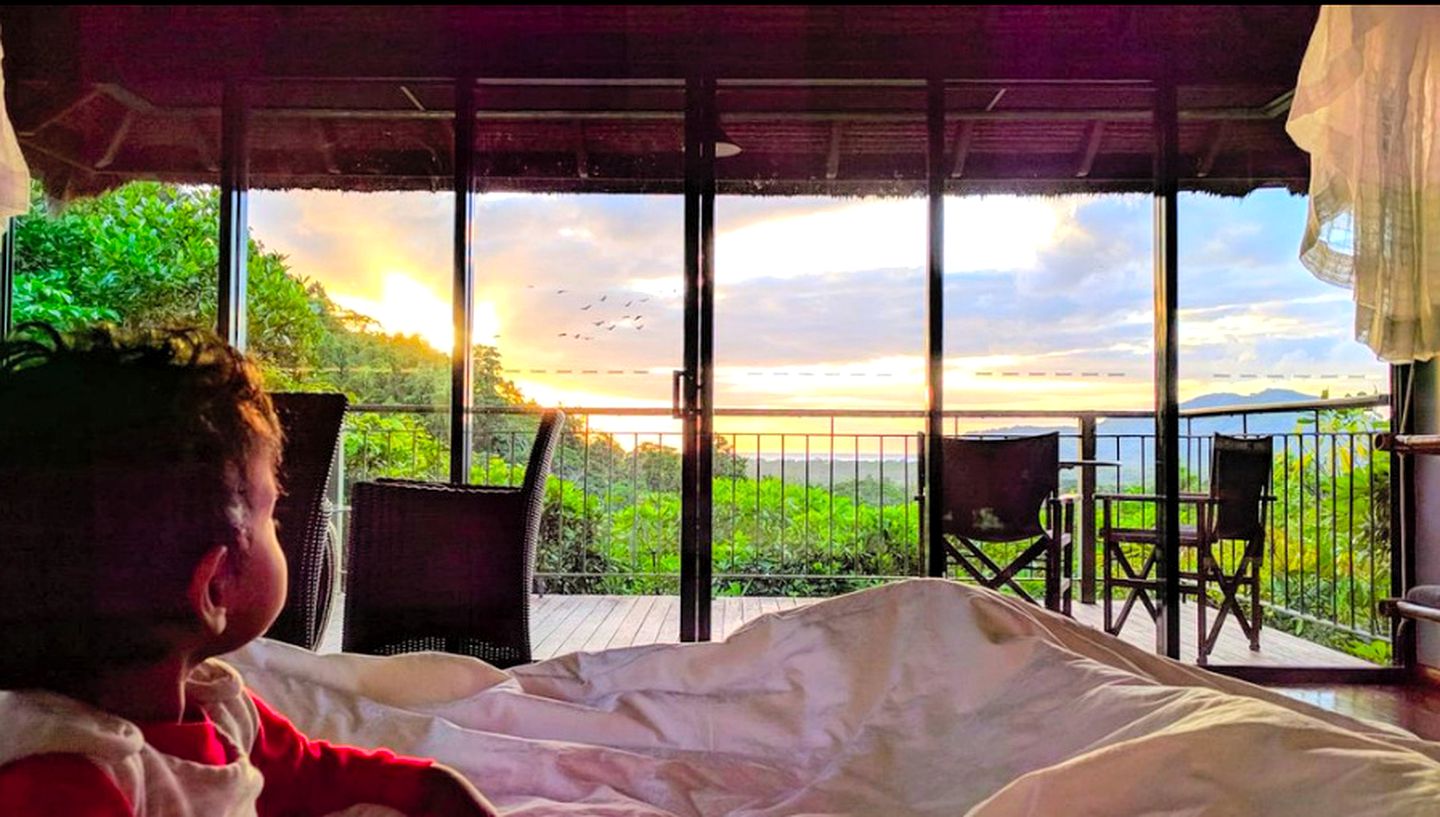 Elegant Daintree Rainforest Accommodation for Glamping in Queensland