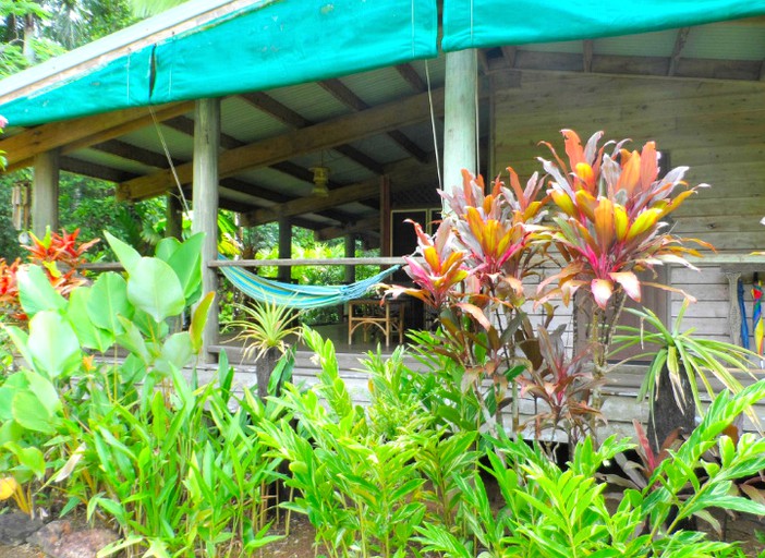 Tree Houses (Diwan, Queensland, Australia)