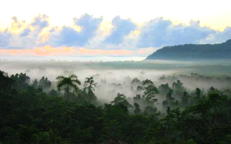 Tree Houses (Diwan, Queensland, Australia)