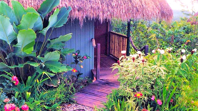 Tree Houses (Diwan, Queensland, Australia)