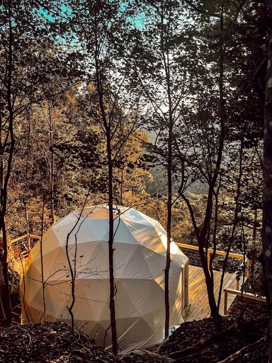 Domes (United States of America, Altamont, Tennessee)
