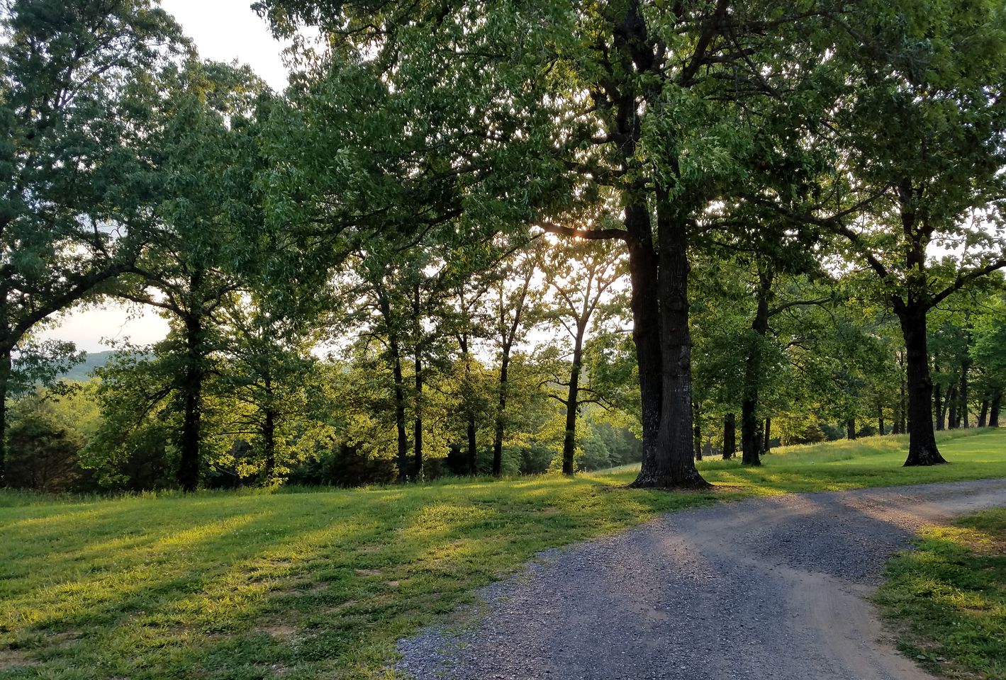Elegant Ranch Cabin near the Buffalo River National Park in St. Joe, Arkansas