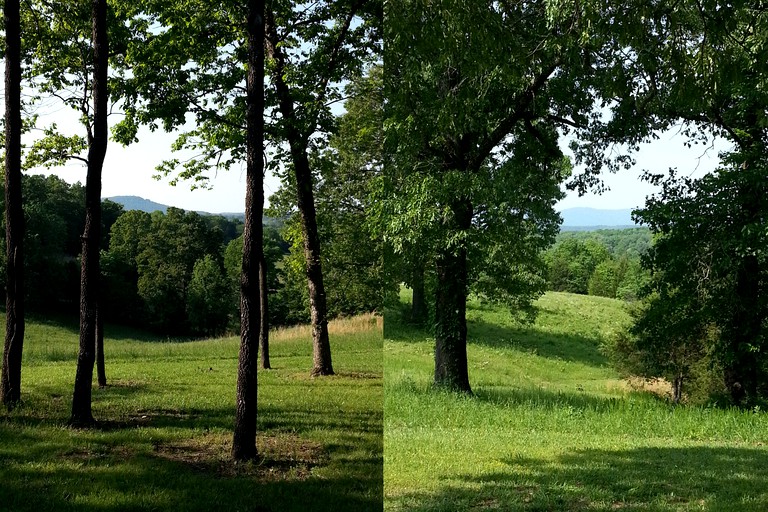 Cabins (St. Joe, Arkansas, United States)