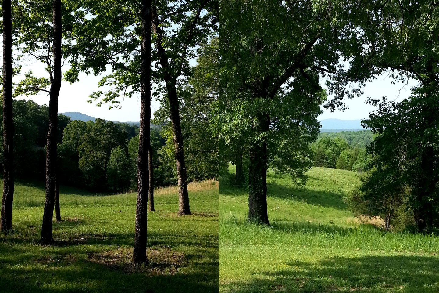 Elegant Ranch Cabin near the Buffalo River National Park in St. Joe, Arkansas