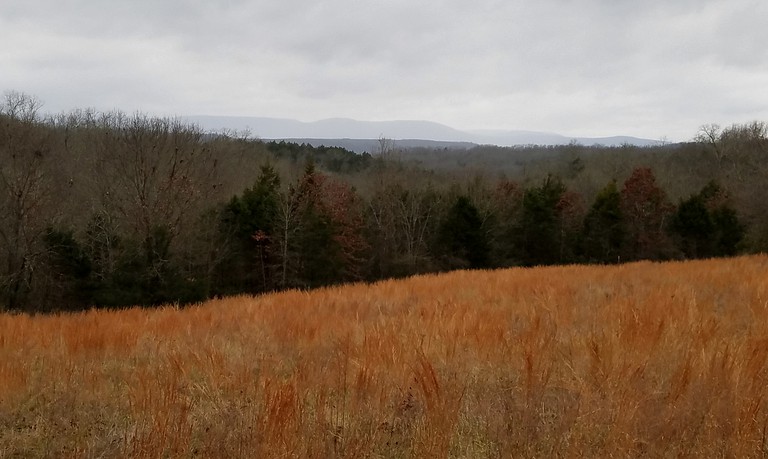 Cabins (St. Joe, Arkansas, United States)