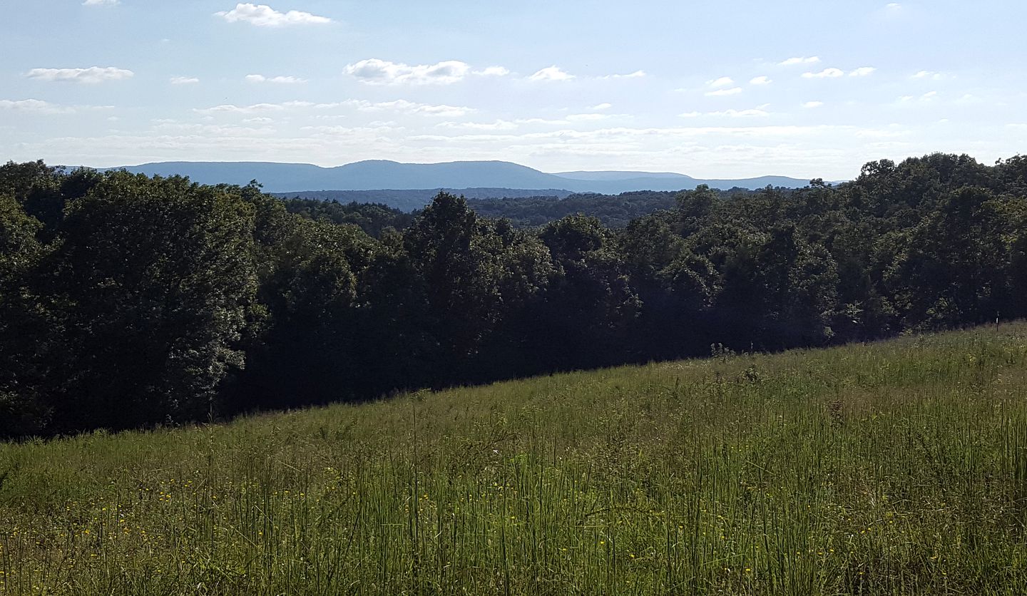 Elegant Ranch Cabin near the Buffalo River National Park in St. Joe, Arkansas