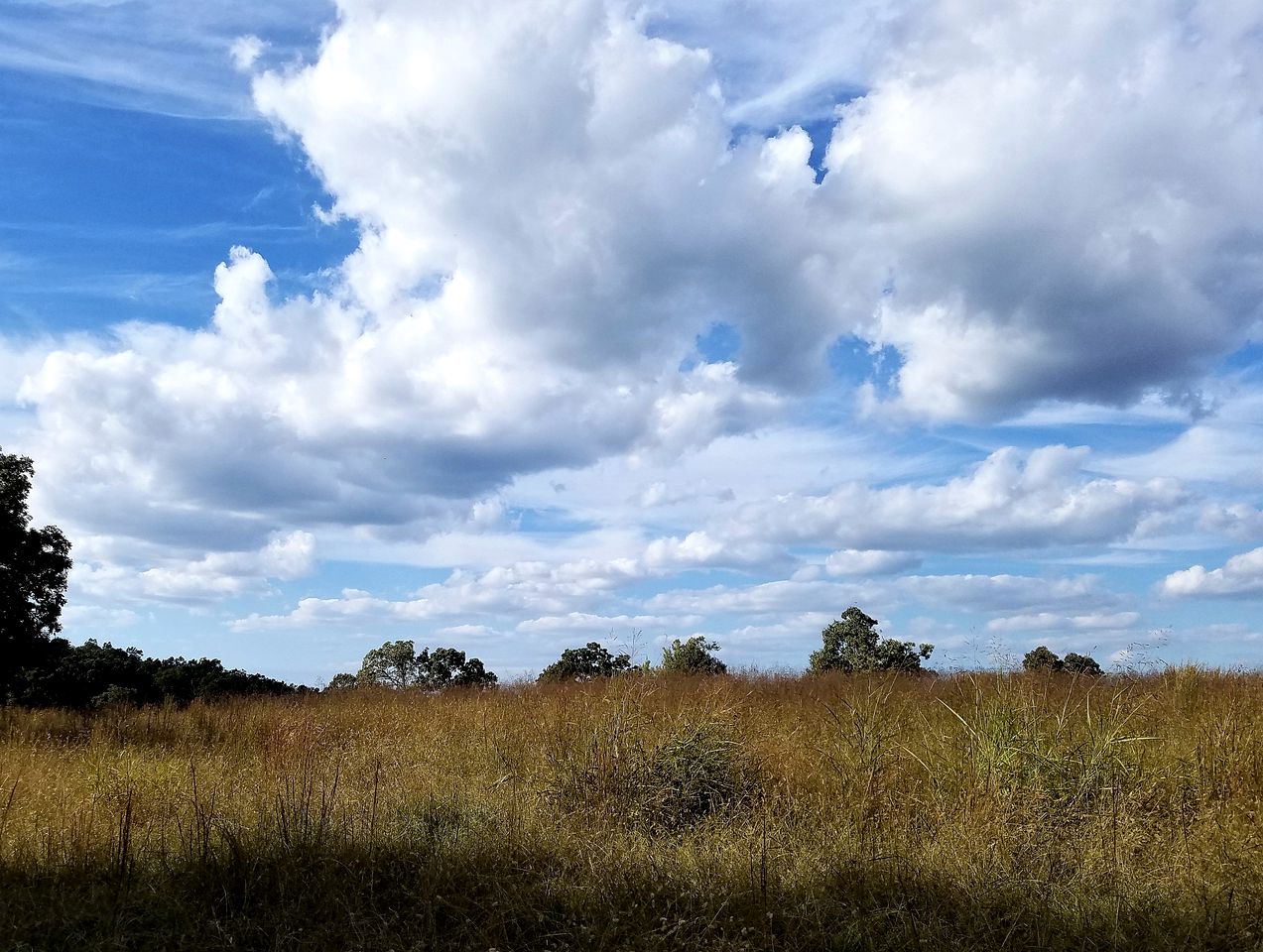 Elegant Ranch Cabin near the Buffalo River National Park in St. Joe, Arkansas
