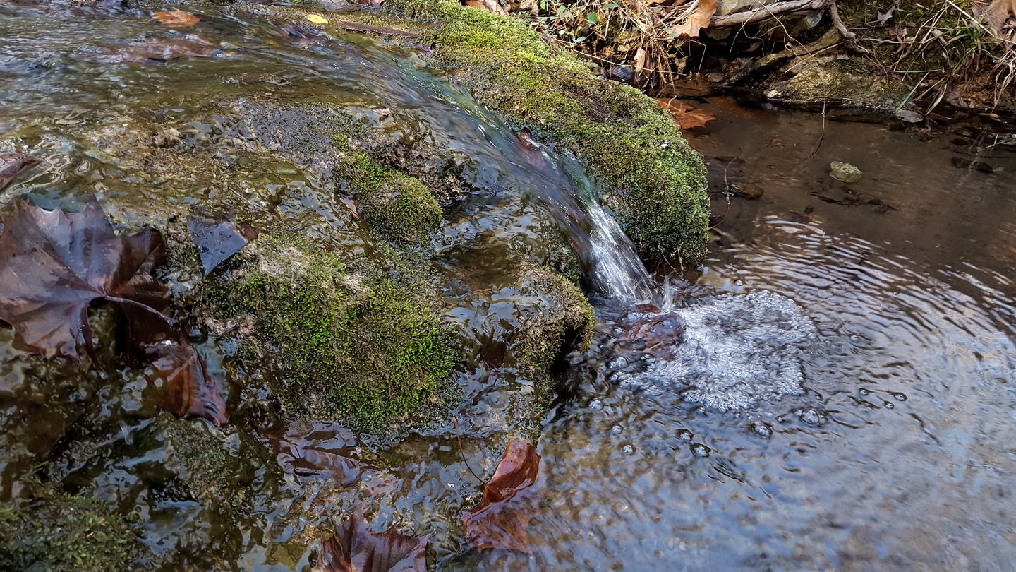 Elegant Ranch Cabin near the Buffalo River National Park in St. Joe, Arkansas
