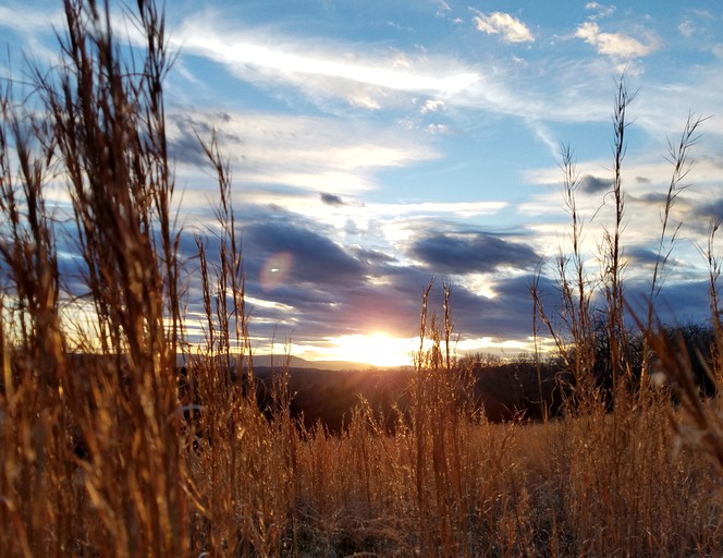 Cabins (St. Joe, Arkansas, United States)