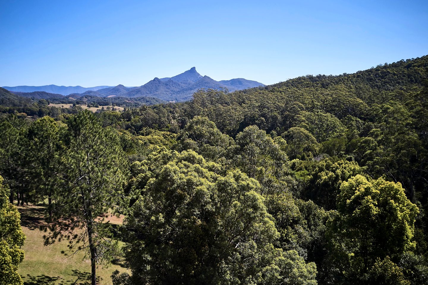 Elegant Tweed Accommodation Perfect for Glamping in New South Wales