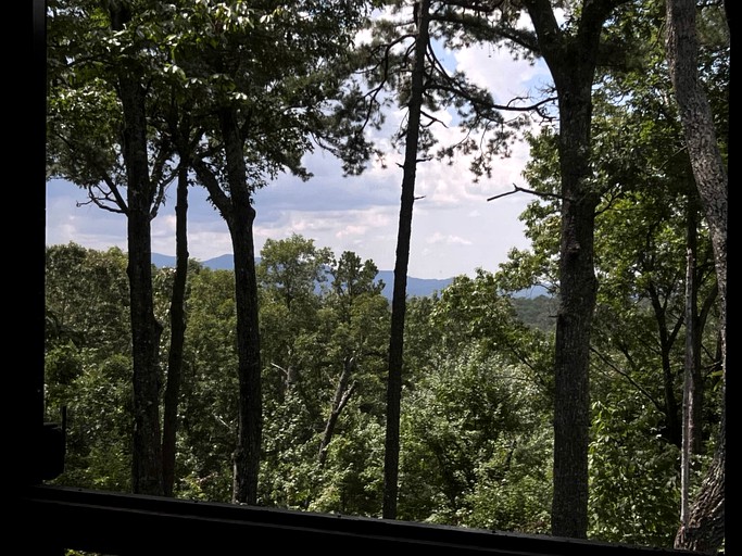 Cabins (United States of America, Morganton, Georgia)