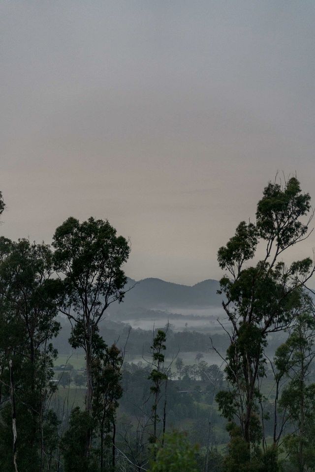 Elevated Tiny House with Spectacular Views in New South Wales, Australia