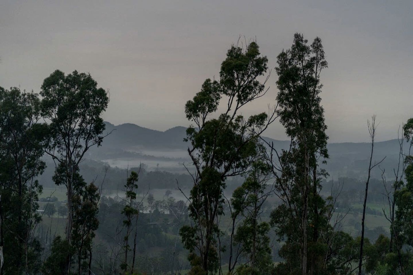 Elevated Tiny House with Spectacular Views in New South Wales, Australia