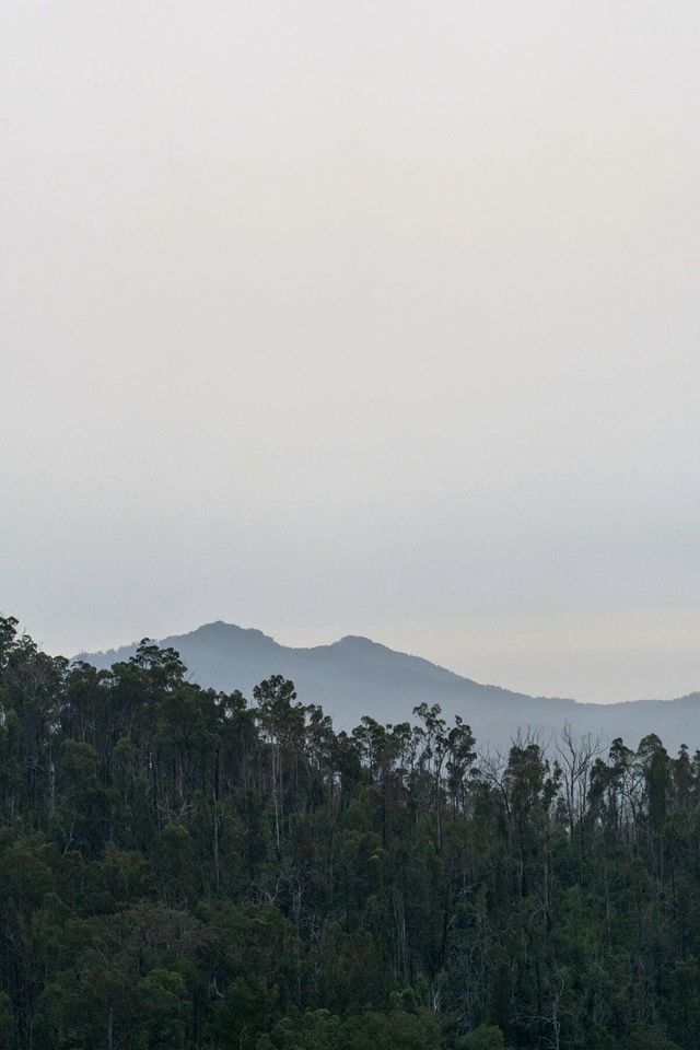 Elevated Tiny House with Spectacular Views in New South Wales, Australia
