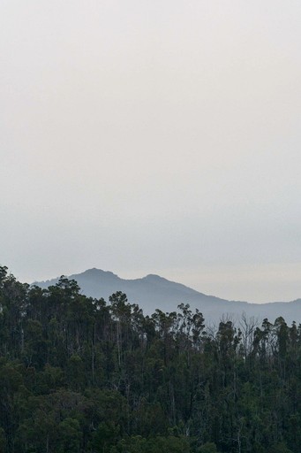 Tiny Houses (Australia, Talarm, New South Wales)