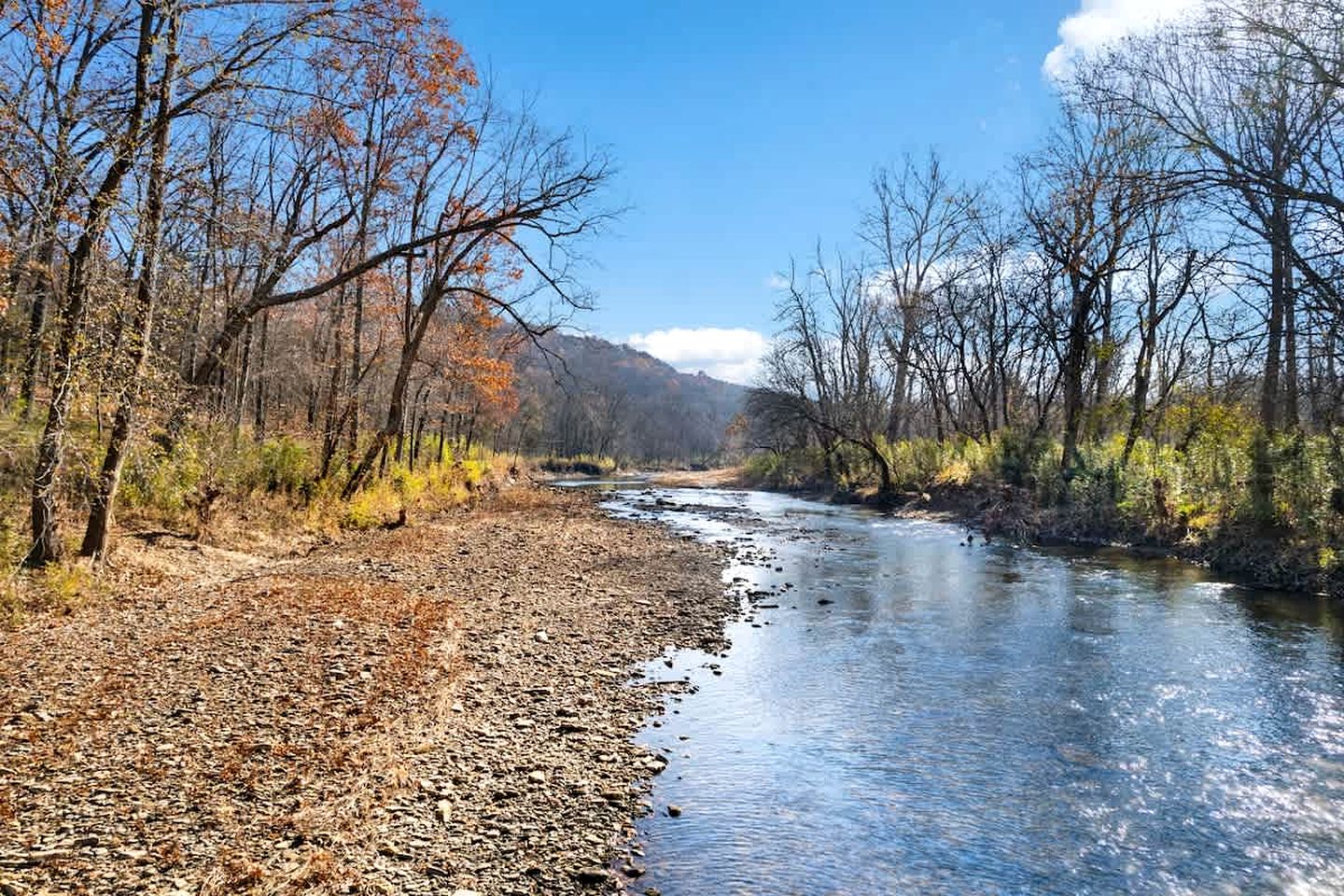 Tranquil Riverside Cabin with Expansive Trails near Elkins, Arkansas