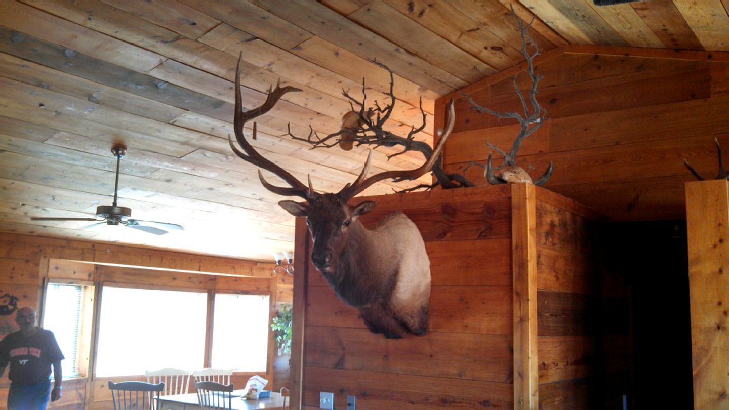 Large Cabin Rental with Breathtaking Mountain Views on Colorado Plains