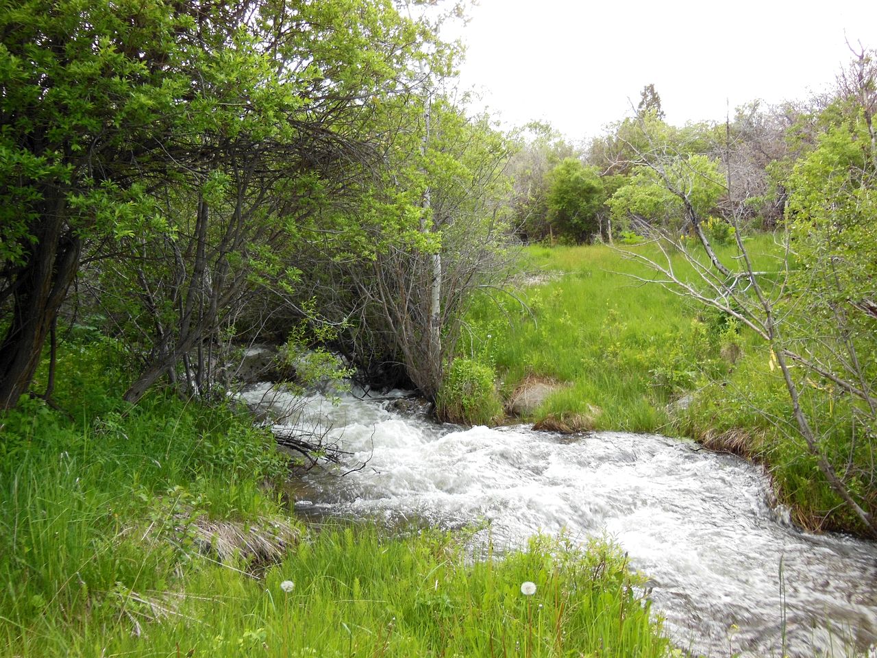 Scenic Cabin with Wildlife Views Near Madison River, Ennis, Montana