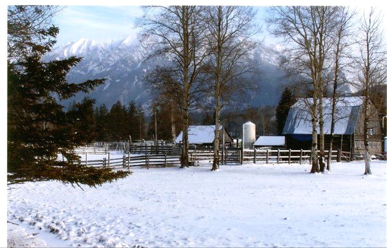 Cabins (Sparwood, British Columbia, Canada)