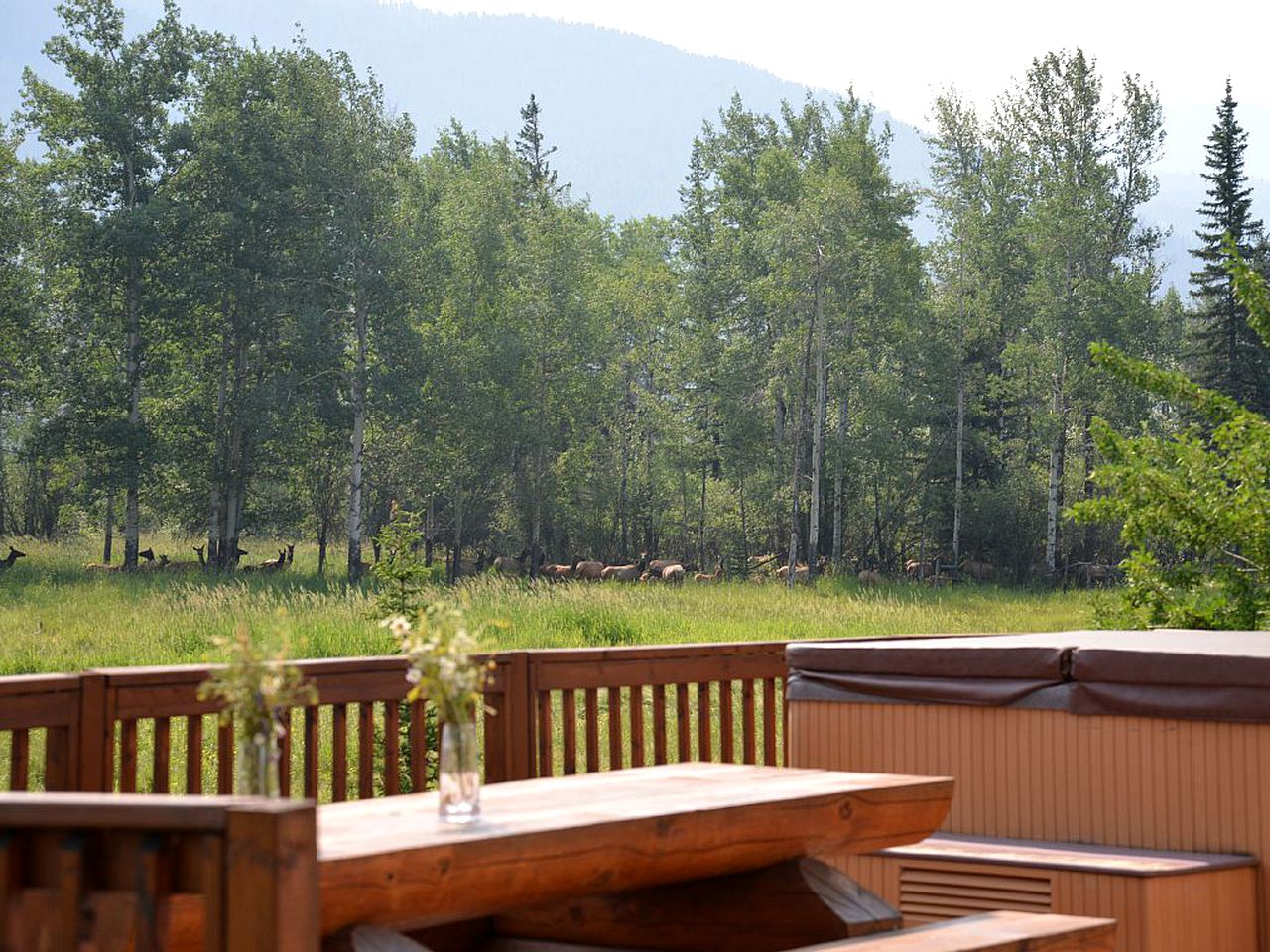 Luxury Cabin Rental with Horse Stables in Canadian Rockies of British Columbia