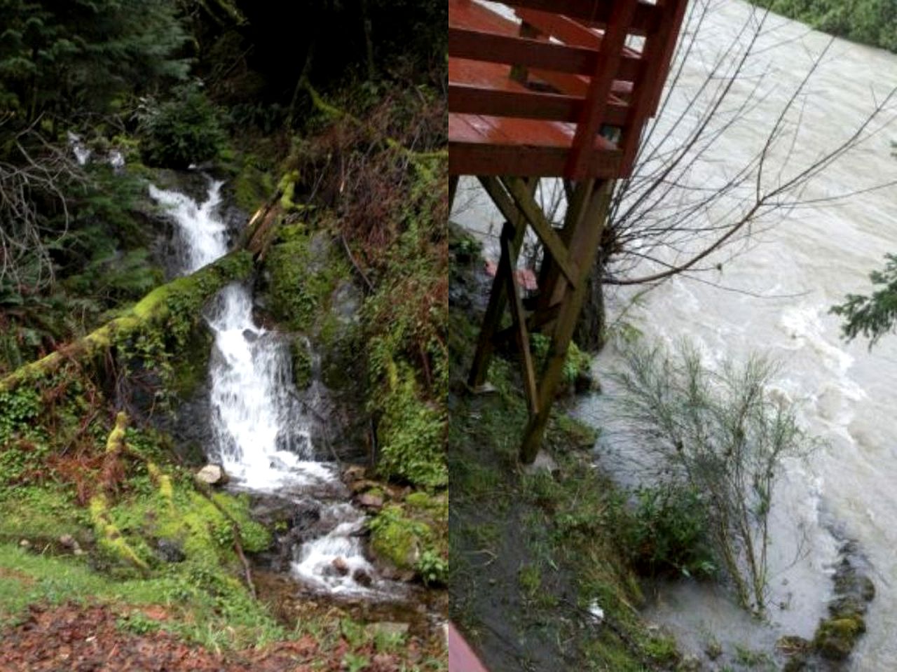 Wheelchair-Accessible Riverfront Cottage Rental with Jetted Tub on Elk River, Oregon