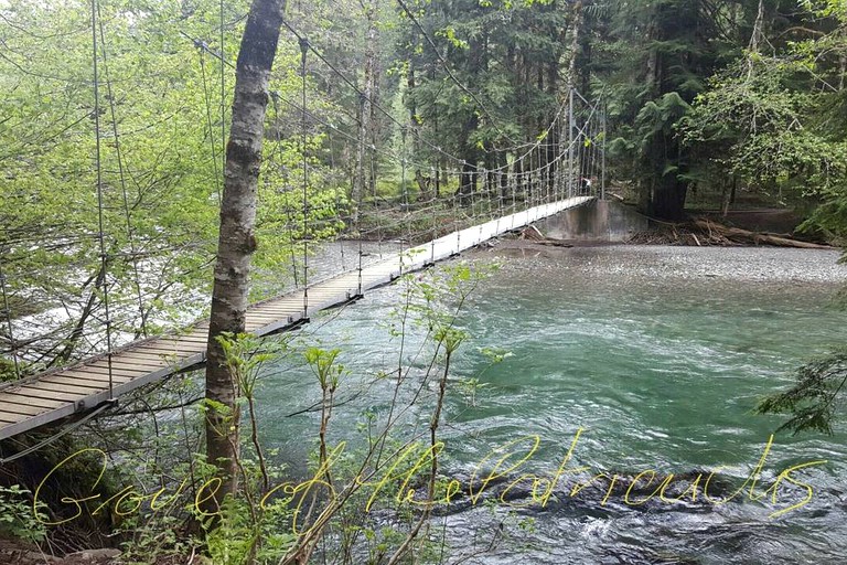 Cabins (Packwood, Washington, United States)