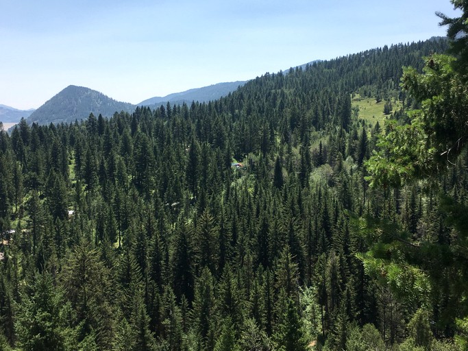 Cabins (United States of America, Swan Valley, Idaho)