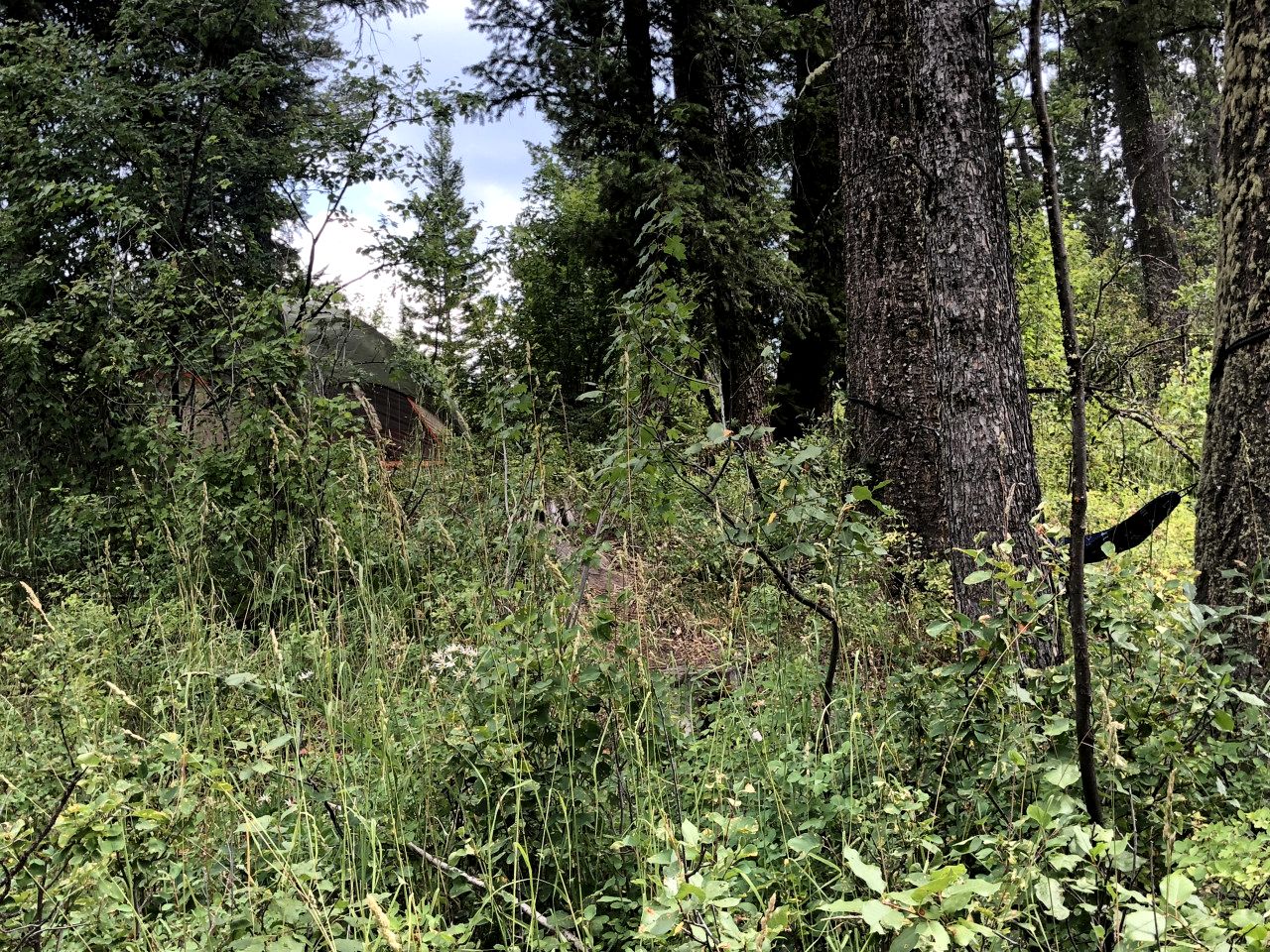 Rustic Lakeside Cabins with Dock & Water Activities near Swan Valley, Idaho
