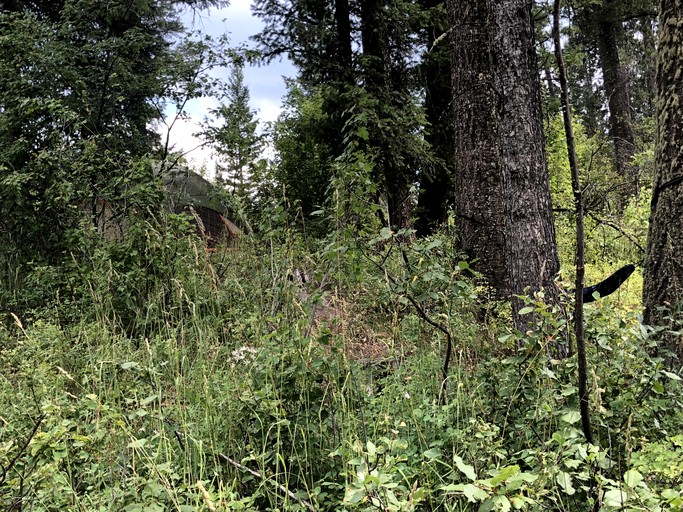 Cabins (United States of America, Swan Valley, Idaho)