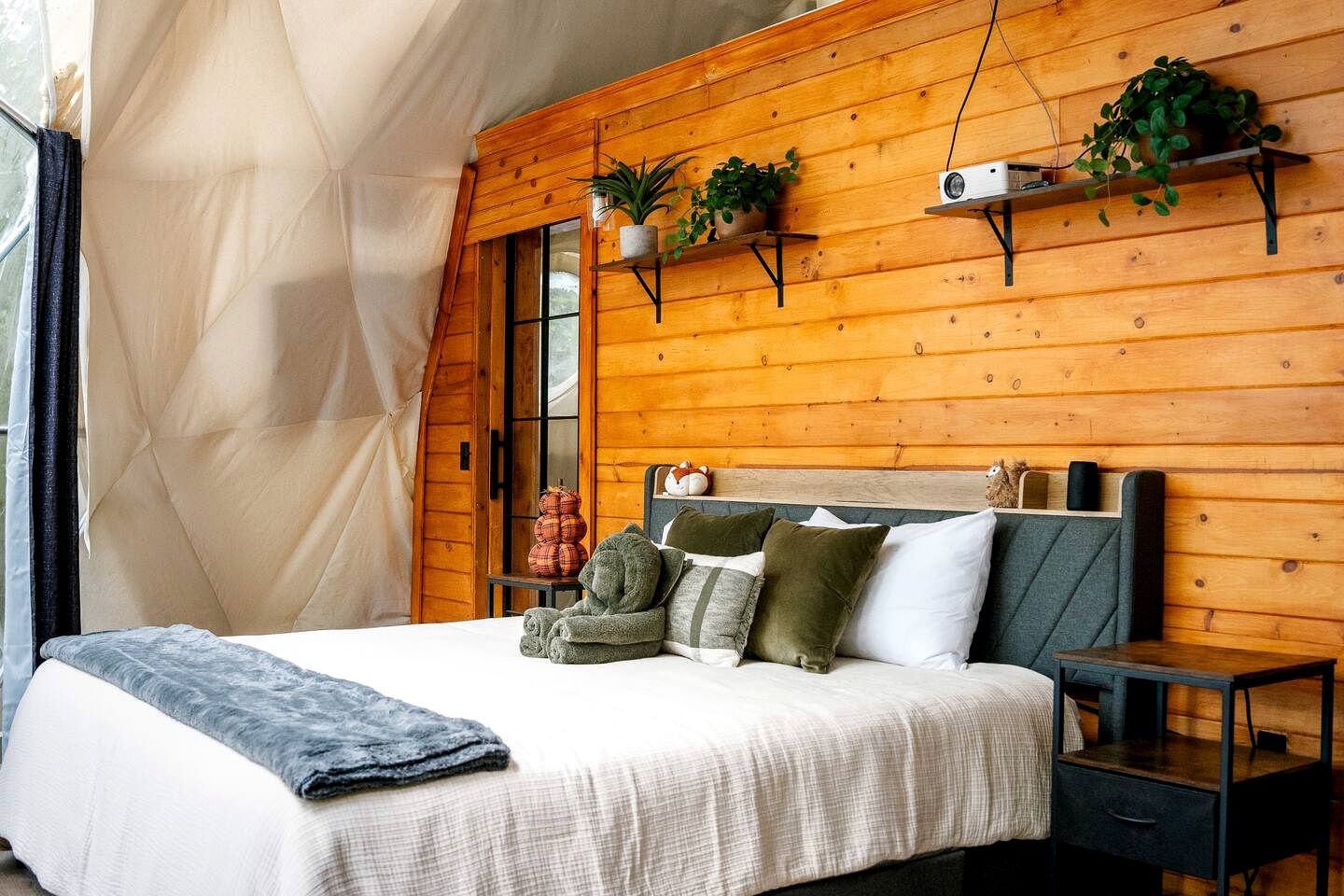 Experience Nature in this Incredible Dome Nestled Amidst Trees in Ellijay, Georgia
