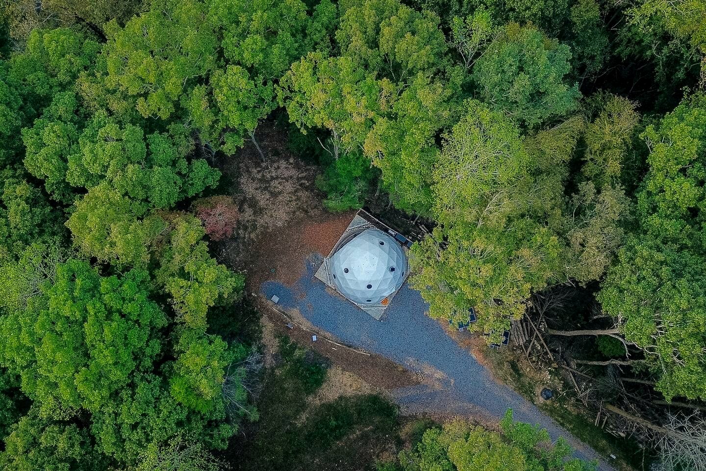 Experience Nature in this Incredible Dome Nestled Amidst Trees in Ellijay, Georgia