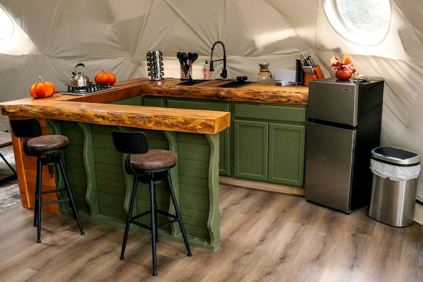 Experience Nature in this Incredible Dome Nestled Amidst Trees in Ellijay, Georgia